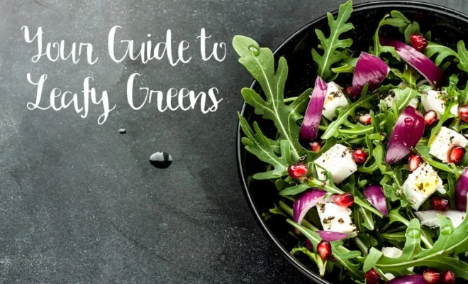 Your Guide to Leafy Greens