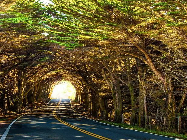 The drive from San Francisco to Mendocino up Highway 1 is stunning