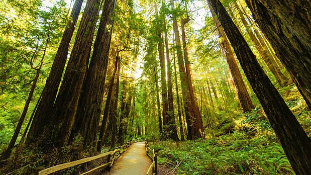 The Mendocino Coast is Haute Hippie Heaven