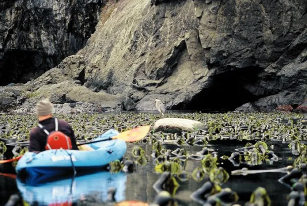 Take a sea cave kayaking tour on the Mendocino coast