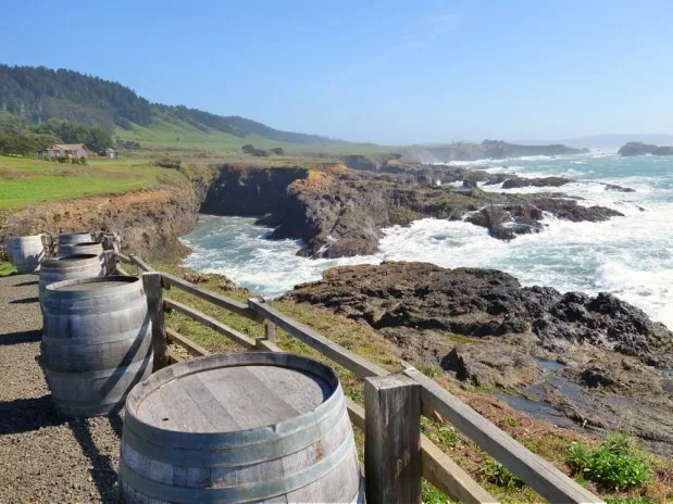 Part of the view at Pacific Star Winery