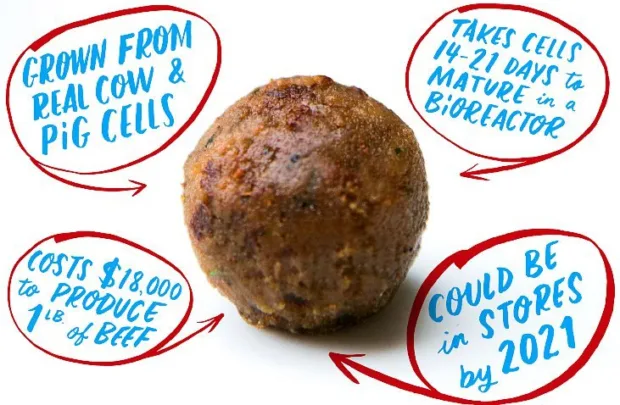Amazing Foods of the Future We'll All Be Eating Soon future-foods-vegan