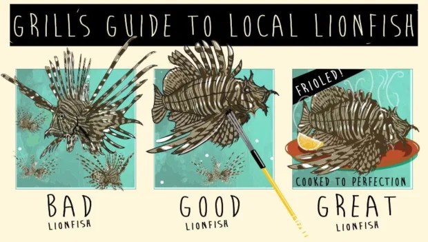 Amazing Foods of the Future We'll All Be Eating Soon future-vegan-foods3