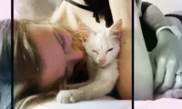 One Crazy Night in Mexico - mexico pet adoption
