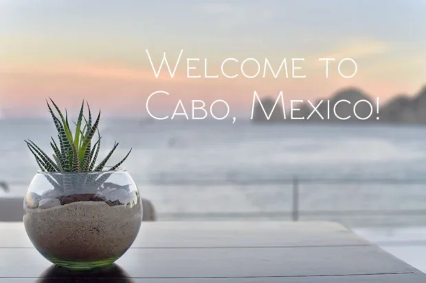 My Cabo Caper sur-cabo-travel-guide-mexico4