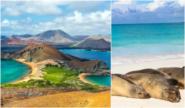 10 Incredible Sights For Your Travel Bucket List 10 Incredible Sights For Your Travel Bucket List - green sea turtle isabela island galapagos