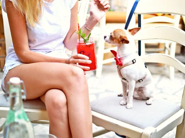 5 'Healthy' Foods That We Should Try to Avoid - unheathy healthy foods4