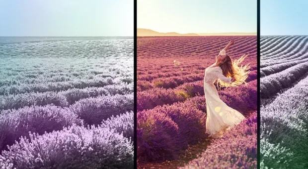 Why Self-Love is the Way to All Love best travel books