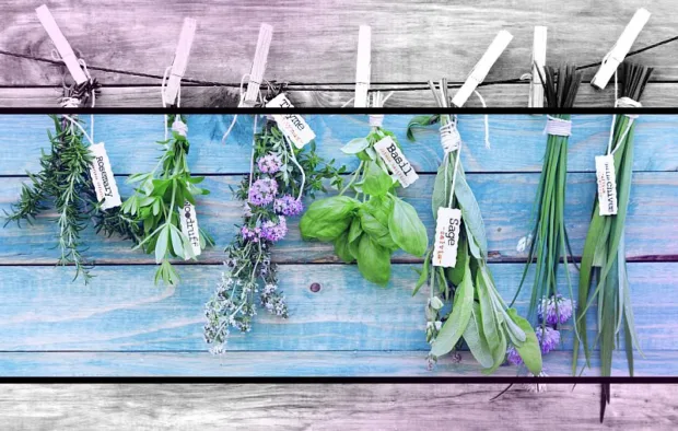 5 Brain-Boosting Foods, Herbs & Supplements You Should Be Using 5 Brain-Boosting Foods, Herbs & Supplements You Should Be Using - possibility8