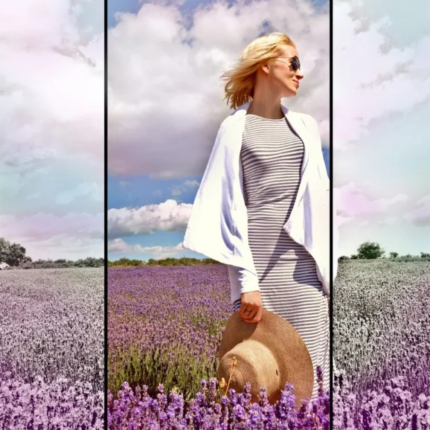 My Lavender-Scented Dream in Provence My Lavender-Scented Dream in Provence - lavender hilary Medium