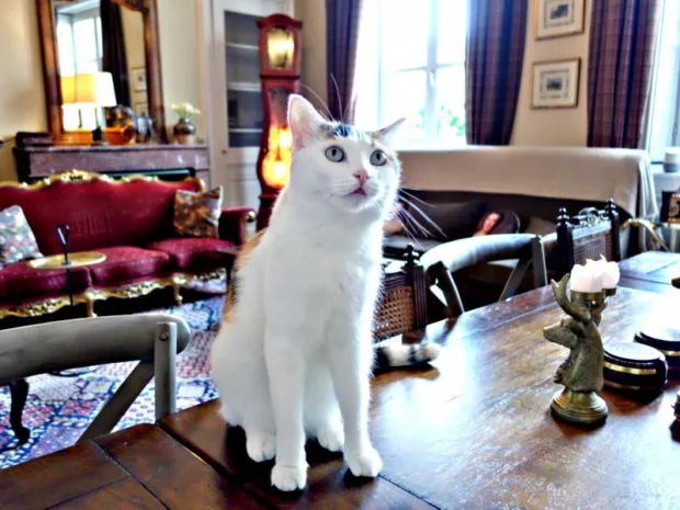 French Dining Room Home Decor Makeover